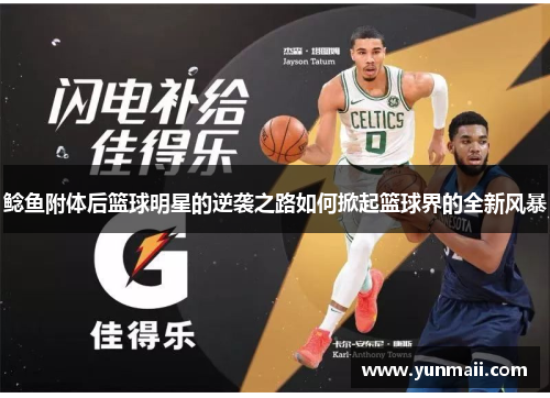 鲶鱼附体后篮球明星的逆袭之路如何掀起篮球界的全新风暴
