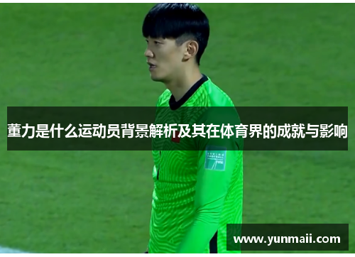 董力是什么运动员背景解析及其在体育界的成就与影响