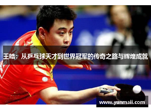 王皓：从乒乓球天才到世界冠军的传奇之路与辉煌成就