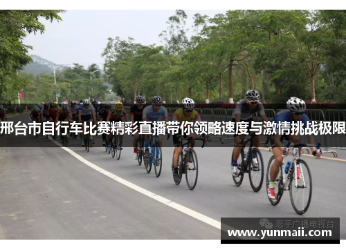 邢台市自行车比赛精彩直播带你领略速度与激情挑战极限